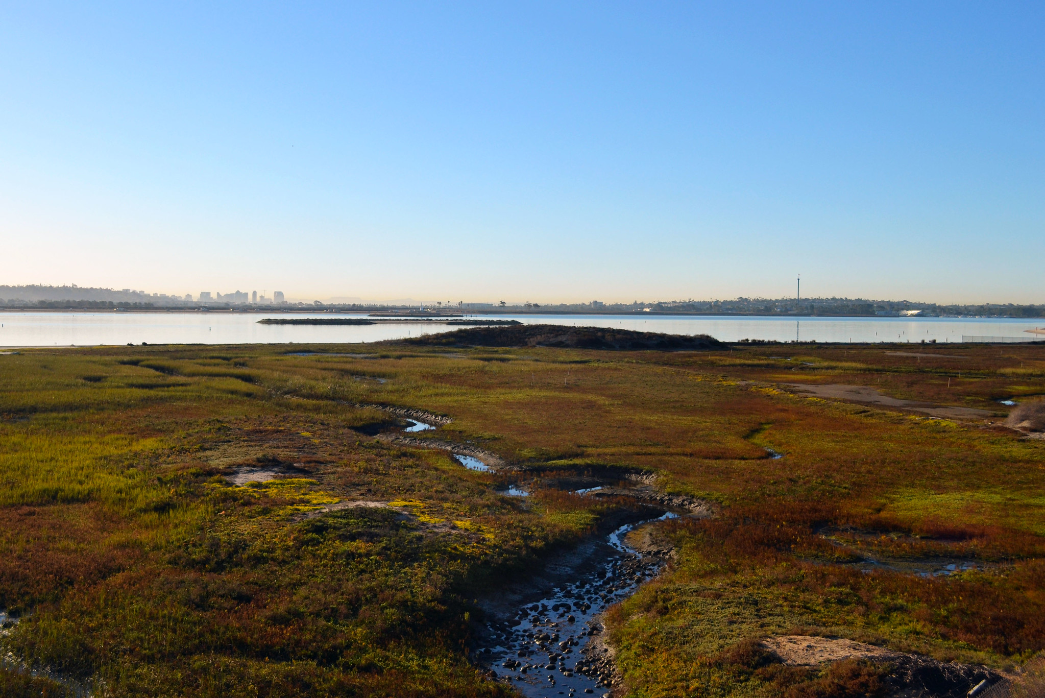 News | Environmental Center of San Diego