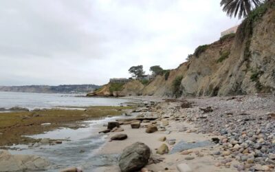 Investing in the Next Generation of Environmental Leaders: Educate, Advocate, Activate