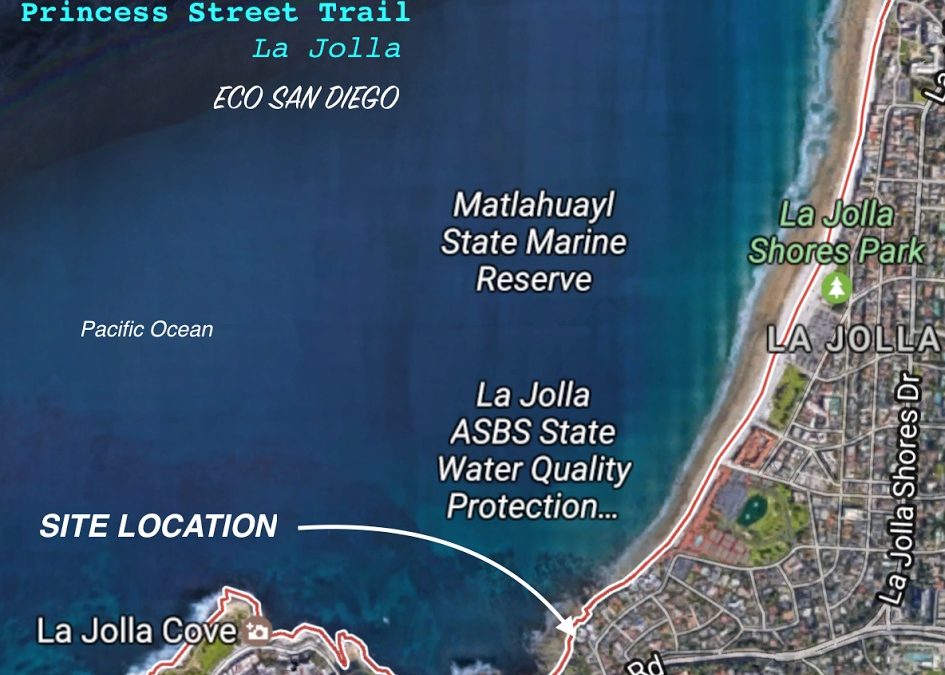 Support Public Access: Princess Street Coastal Access Trail