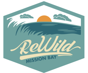Support the Efforts of the ReWild Mission Bay Coalition And Let Your Voice Be Heard