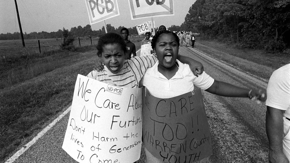 What are Environmental Justice Groups, and What Do They Do?